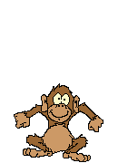 SINGE