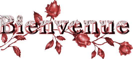 bienvenue