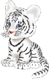 tigre