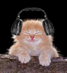 chaton